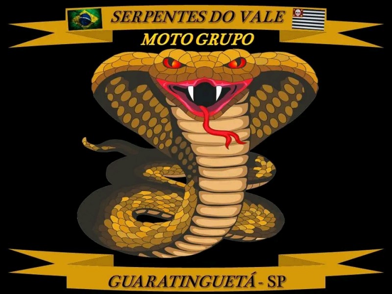 Serpentes do Vale MG