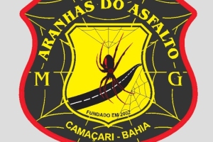 aranhas-do-asfalto