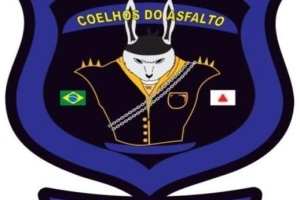 coelhos-do-asfalto