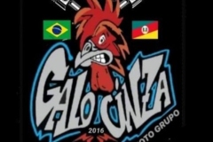 galo-cinza