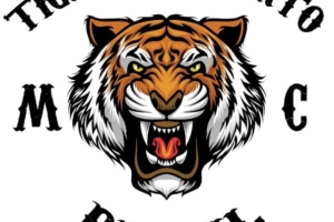 tigre-do-deserto