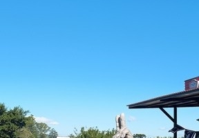AL_119