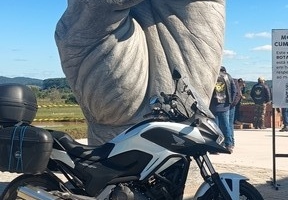 AL_151