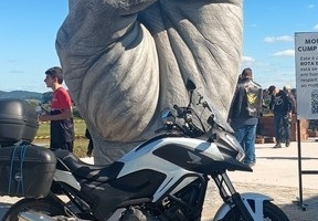 AL_153