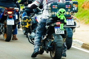 SP_438
