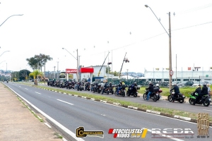 SP_444